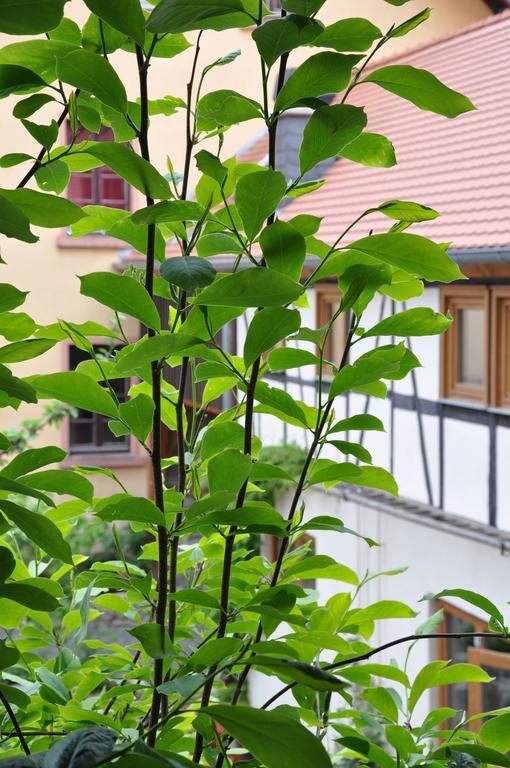 Gastezimmer Am Hof Франкфурт-на-Майні Екстер'єр фото